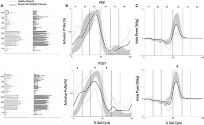 Improved Gait of Persons With Multiple Sclerosis After Rehabilitation: Effects on Lower Limb Muscle Synergies, Push-Off, and Toe-Clearance